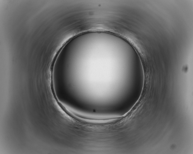 X0000098211476200805011159