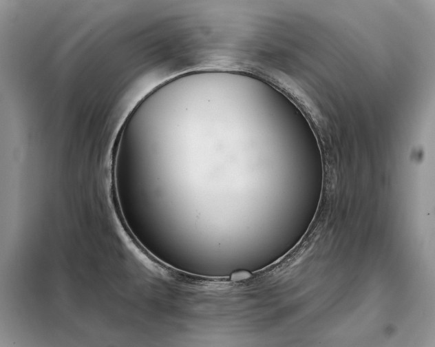 X0000098211479200805011159
