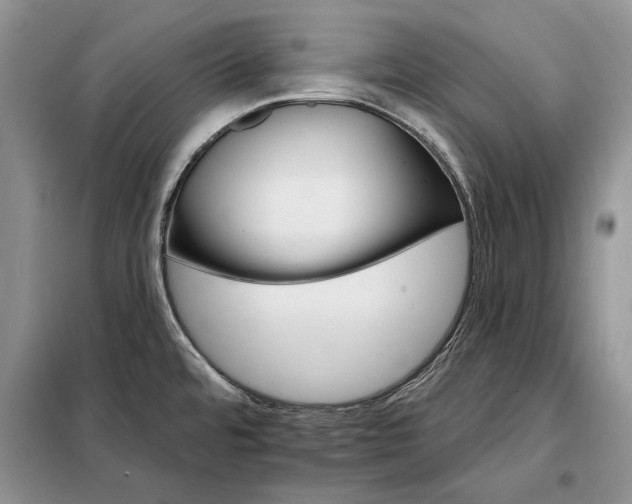 X0000098211480200805011159