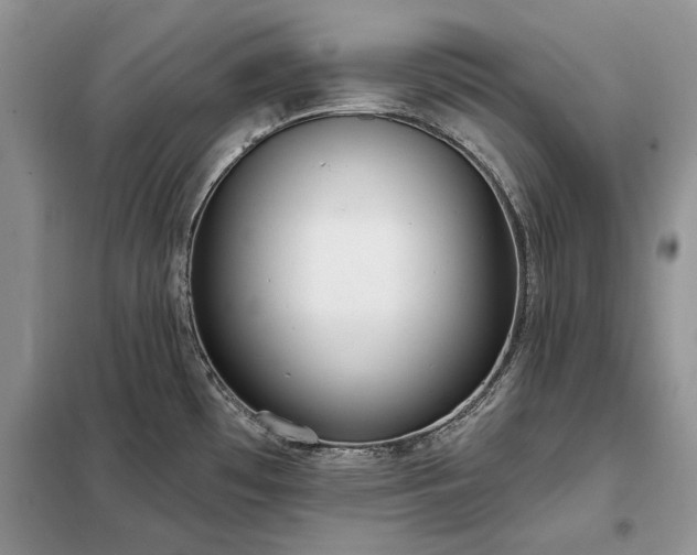 X0000098211481200805011159