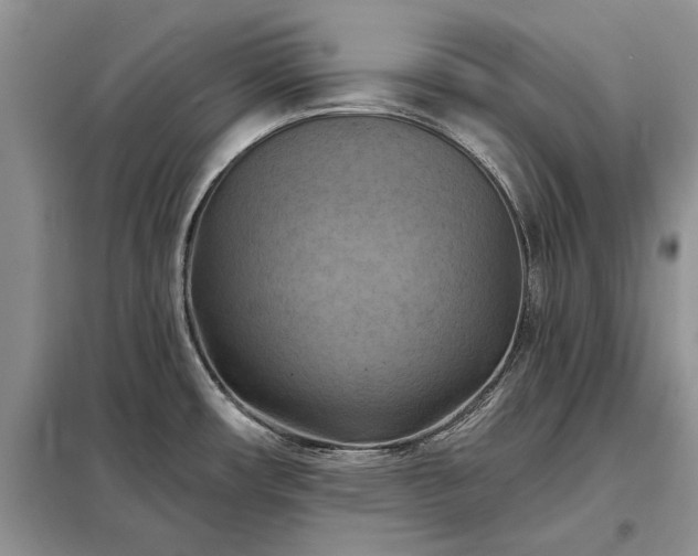 X0000098211482200805011159