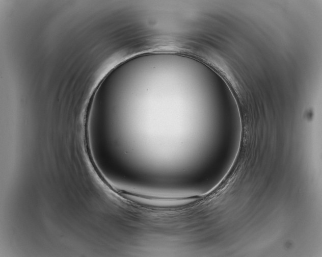X0000098211483200805011159