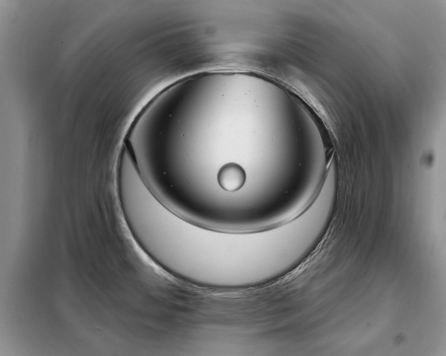 X0000098211484200805011158