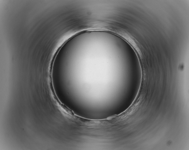 X0000098211485200805011158