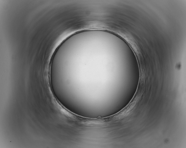 X0000098211486200805011158