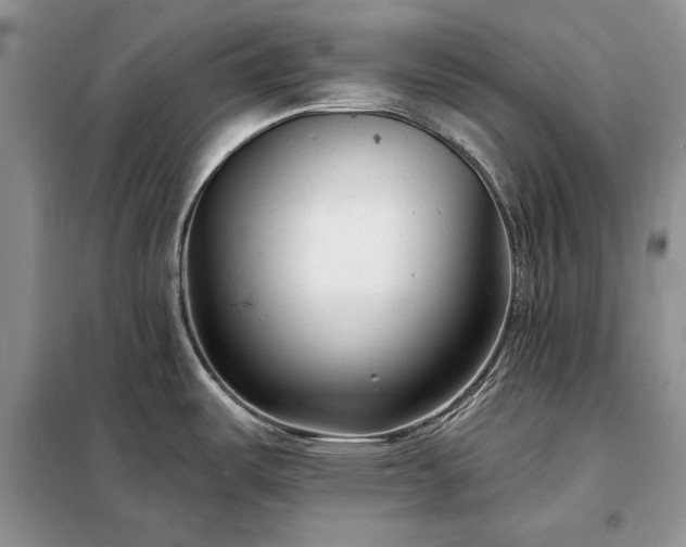 X0000098211487200805011158