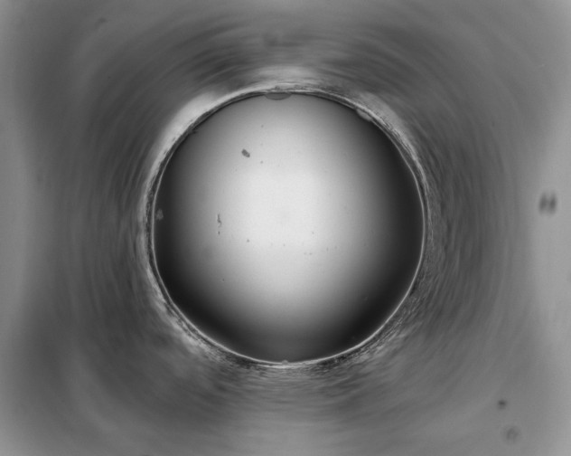 X0000098211488200805011158