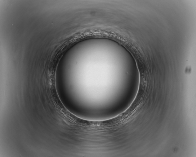X0000098211490200805011158