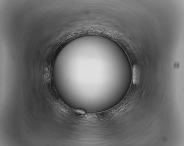 X0000098211491200805011158