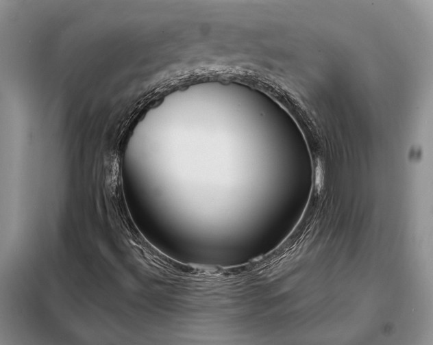 X0000098211492200805011158