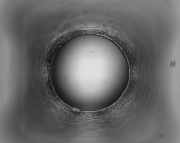X0000098211493200805011158