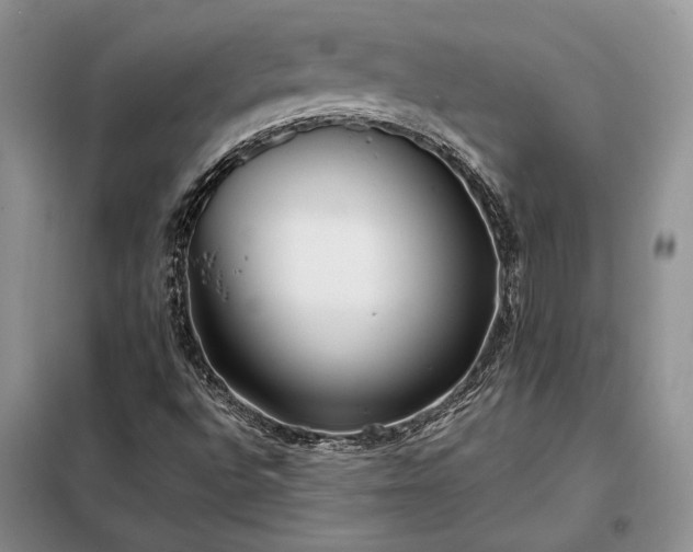 X0000098211496200805011158