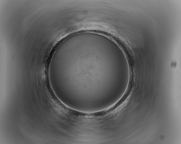 X0000098211497200805011158