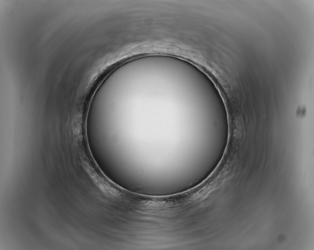 X0000098211499200805011158