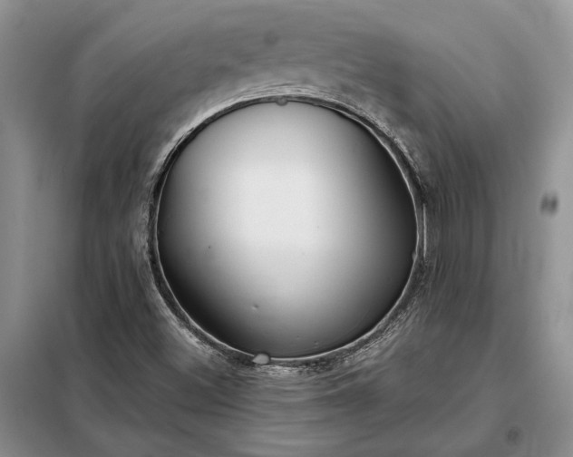 X0000098211500200805011158