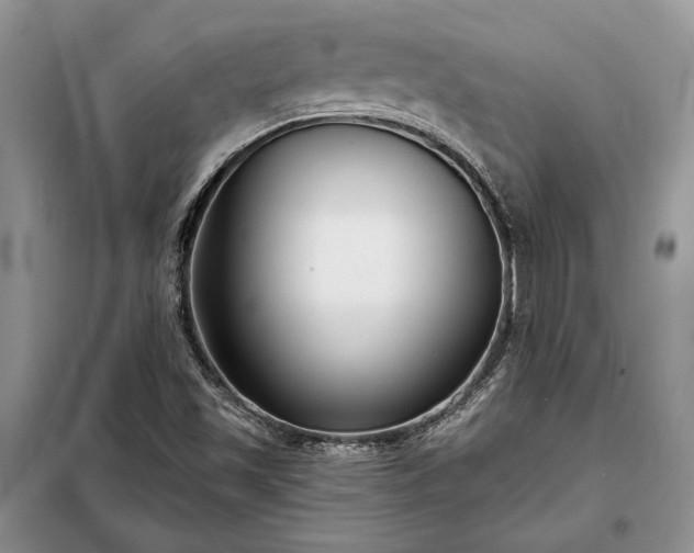 X0000098211501200805011158