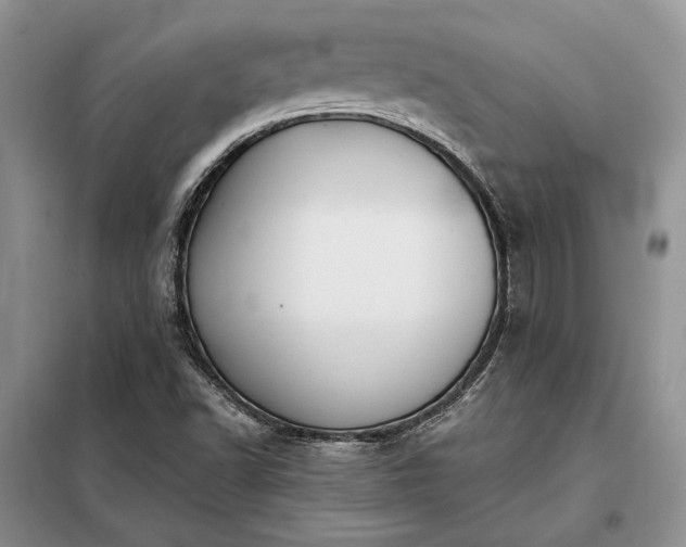 X0000098211502200805011158