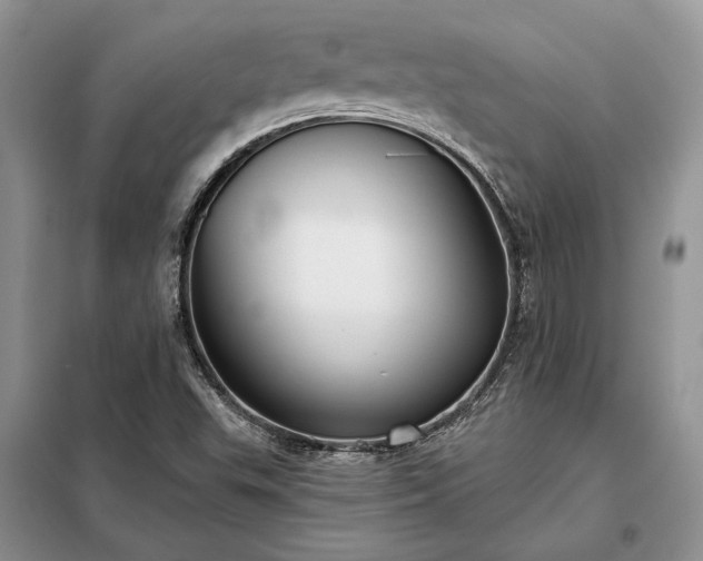 X0000098211503200805011158