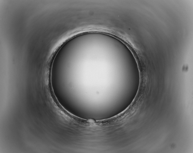 X0000098211504200805011158