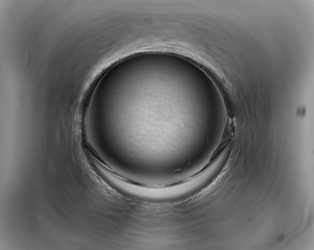X0000098211506200805011158