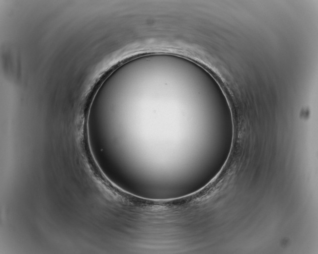X0000098211507200805011158