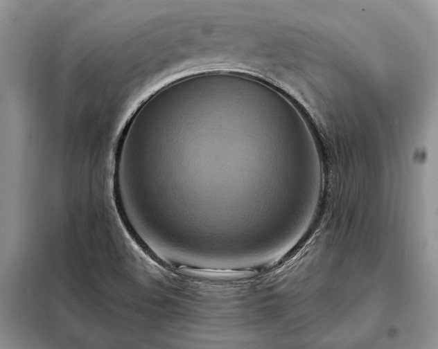 X0000098211508200805011158