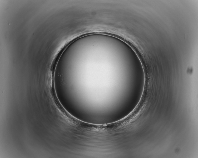 X0000098211509200805011158