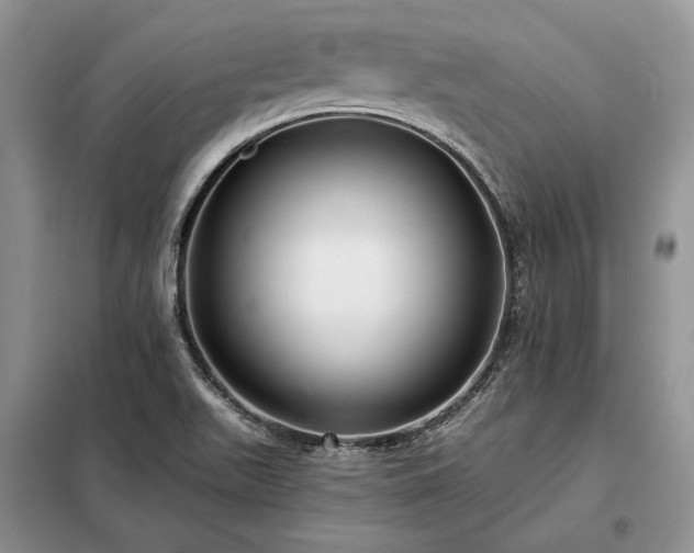 X0000098211511200805011158