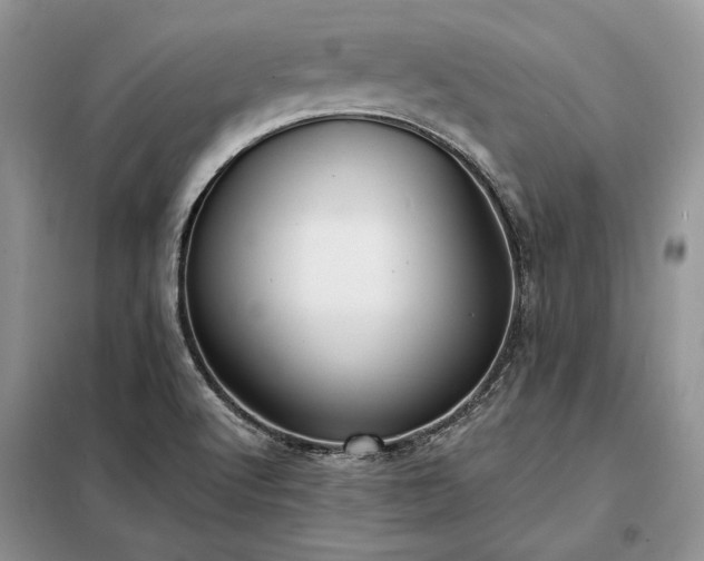 X0000098211512200805011158