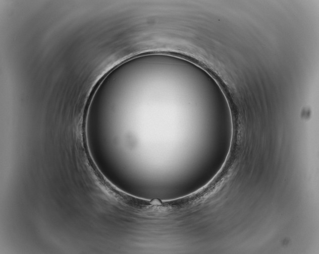 X0000098211513200805011158