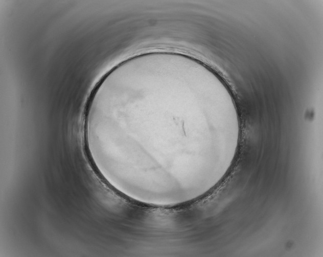 X0000098211514200805011158