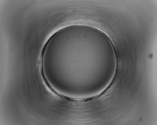 X0000098211515200805011158