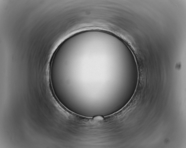 X0000098211516200805011158