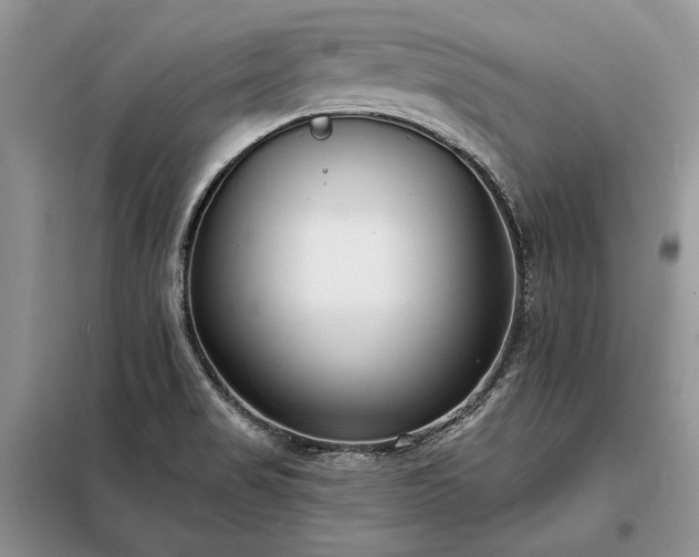 X0000098211517200805011158