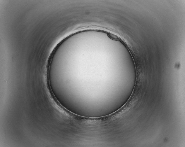 X0000098211518200805011158