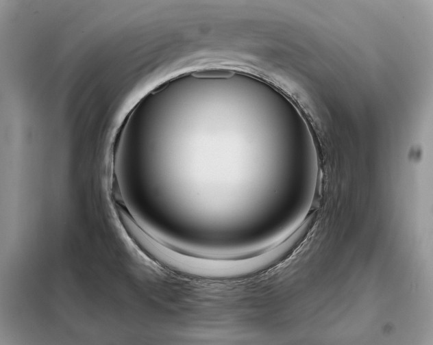 X0000098211520200805011158