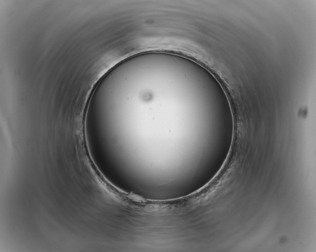 X0000098211521200805011158