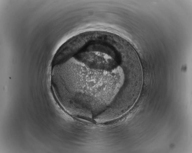 X0000098211522200805011158