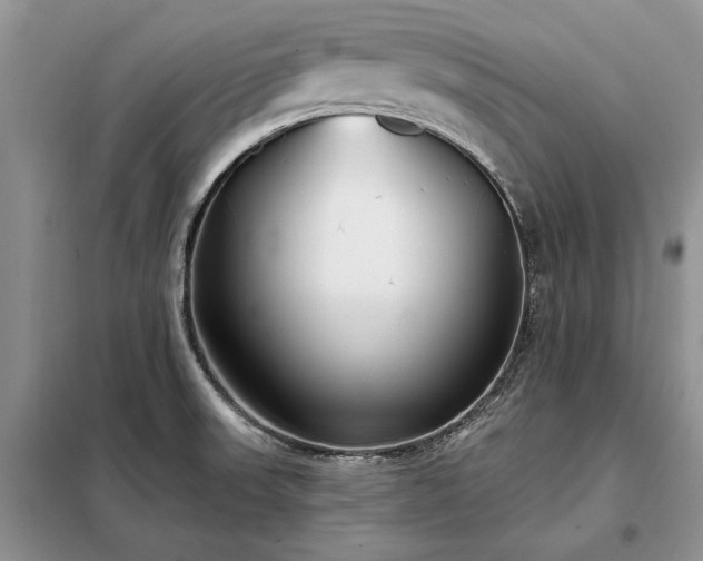 X0000098211523200805011158