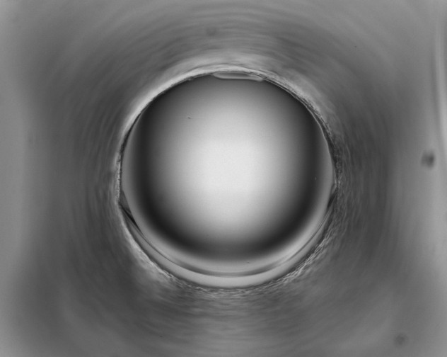 X0000098211524200805011158