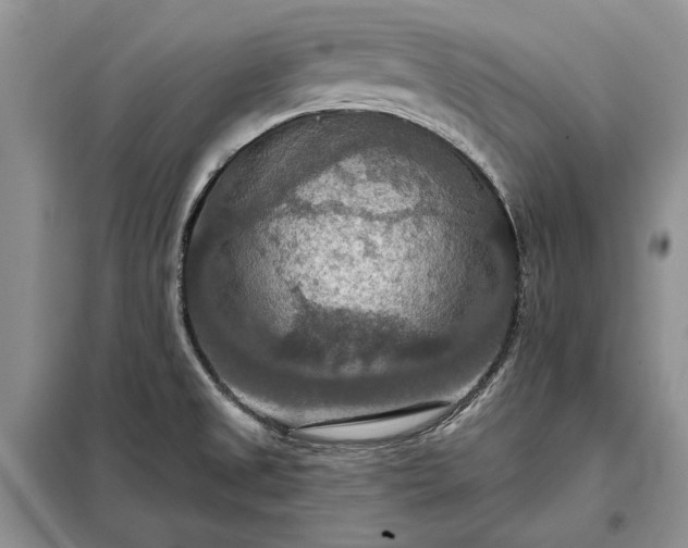 X0000098211525200805011158