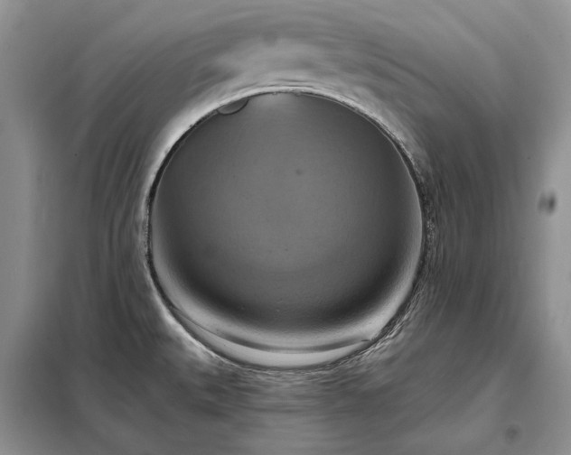 X0000098211527200805011158