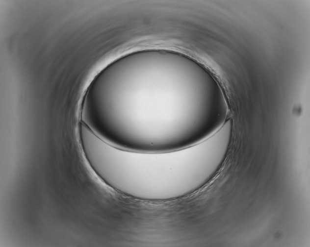 X0000098211528200805011158