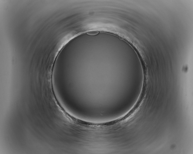 X0000098211529200805011158