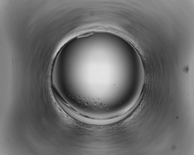 X0000098211530200805011158
