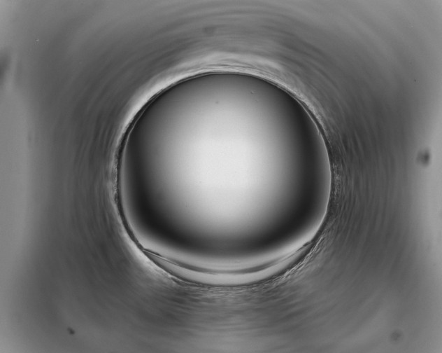 X0000098211531200805011158