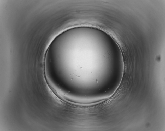 X0000098211532200805011158