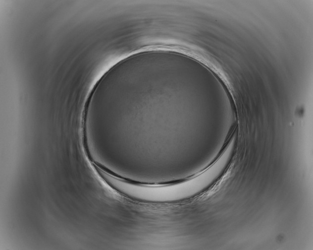 X0000098211533200805011158