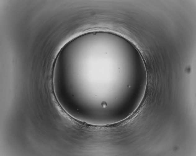 X0000098211534200805011158