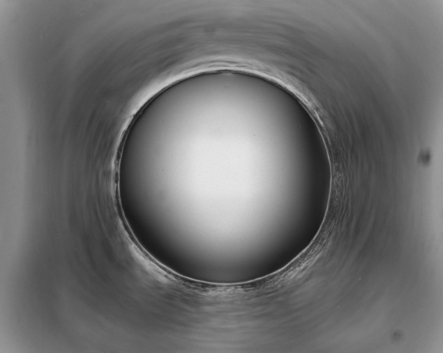 X0000098211535200805011158